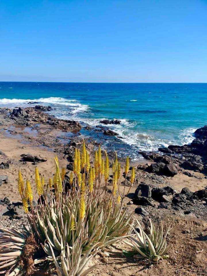 Willa Casa Florida Puerto del Carmen  Zewnętrze zdjęcie